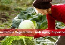 Cruciferous Vegetables