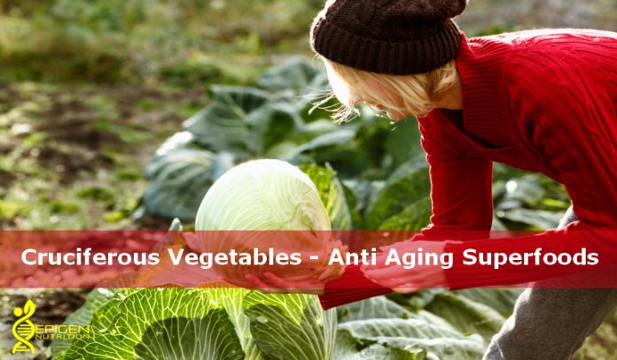 Cruciferous Vegetables