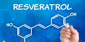 Resveratrol