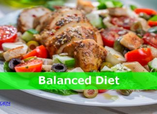 Why a Well Balanced Diet is Important