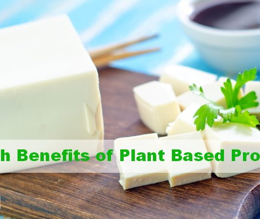 Lean plant protein