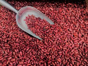 Red kidney beans