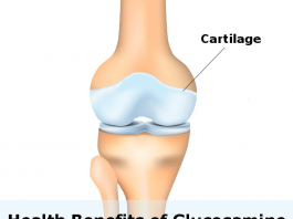health-benefits-of-glucosamine