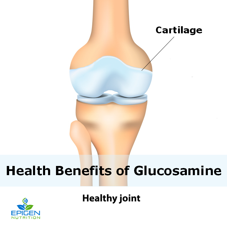 The Health Benefits of Glucosamine for Your Joints Epigen Nutrition