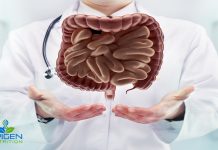 Digestive system
