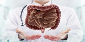 Digestive system