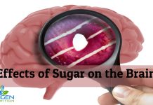 Effects of sugar on the brain