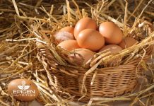 Egg Facts