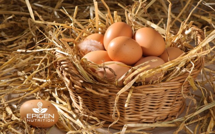 Egg Facts
