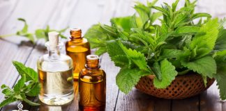 Natural Treatments for Type 2 Diabetes