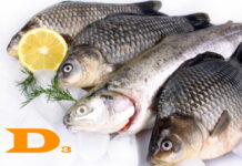 vitamin D foods list