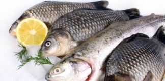 vitamin D foods list