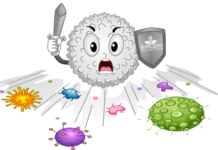 Boost your immune system