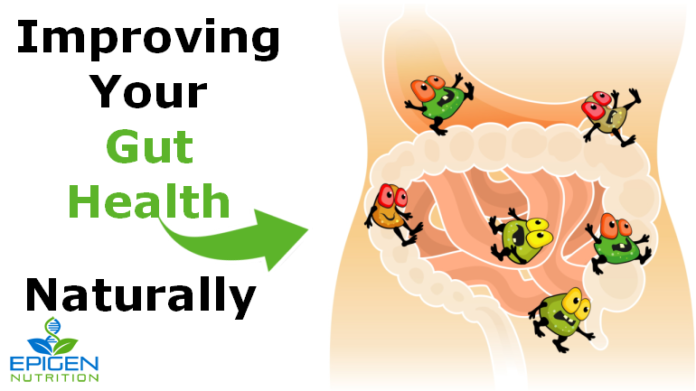 How to improve your gut health